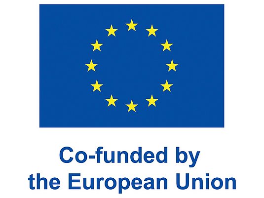 Logo Funded by the European Union
