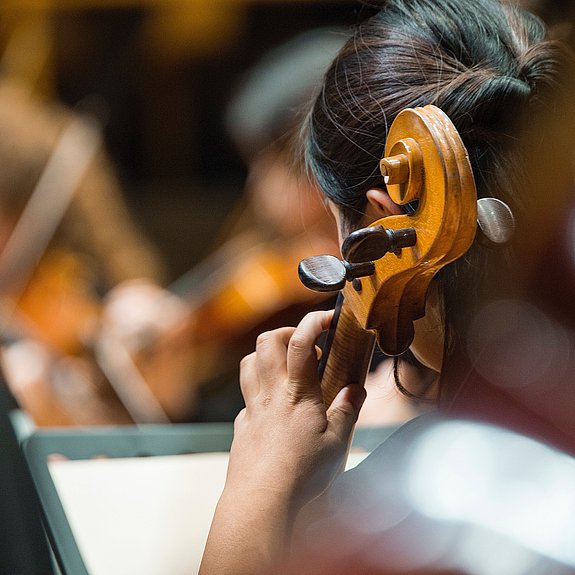 Cellistin im Orchester von hinten fotografiert